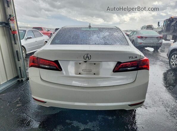 19UUB1F34GA015979 2016 ACURA TLX White Հետևի տեսք