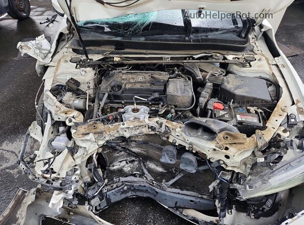 19UUB1F34GA015979 2016 ACURA TLX White Սալոնի հետևի տեսք