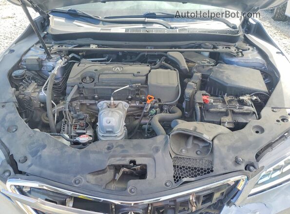 19UUB1F36GA012307 2016 ACURA TLX Gray Սալոնի հետևի տեսք