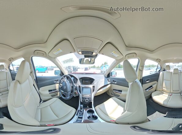 19UUB1F36KA004166 2019 ACURA TLX Red VIN sticker view