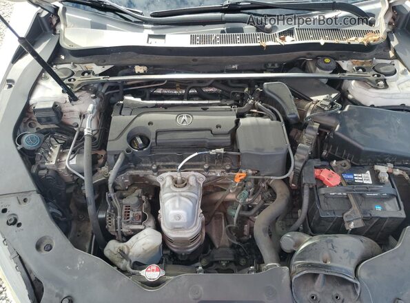 19UUB1F3XGA006669 2016 ACURA TLX White Սալոնի հետևի տեսք