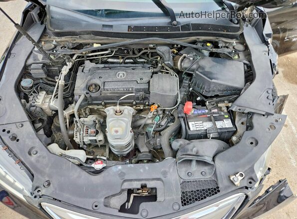 19UUB1F52HA000271 2017 ACURA TLX Black Սալոնի հետևի տեսք
