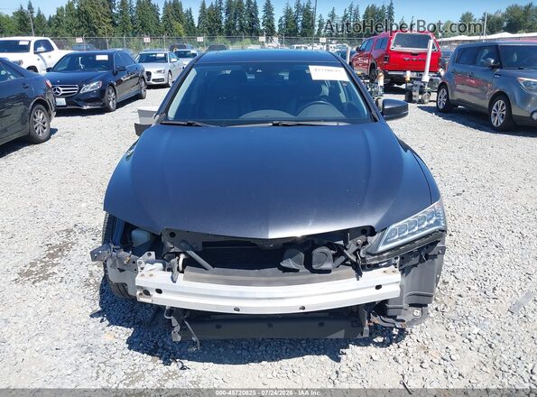 19UUB1F55GA010324 2016 ACURA TLX Gray Widok wnętrza z tyłu