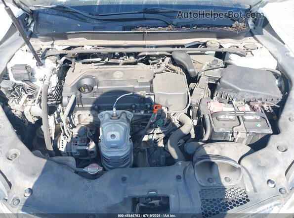 19UUB1F5XGA010559 2016 ACURA TLX White Հետևի տեսք