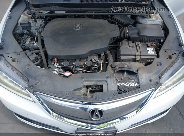 19UUB2F51HA006519 2017 ACURA TLX White Вид ззаду