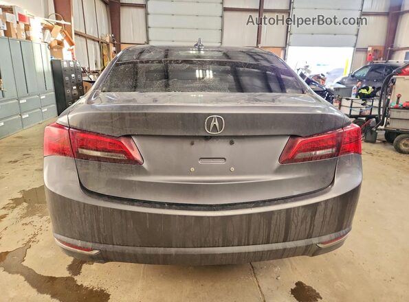 19UUB3F57HA800589 2017 ACURA TLX Gray Вид ззаду