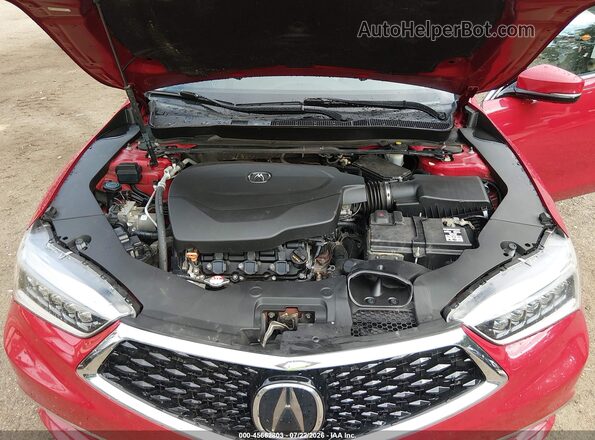 19UUB3F81KA005880 2019 ACURA TLX Red უკანა ხედი