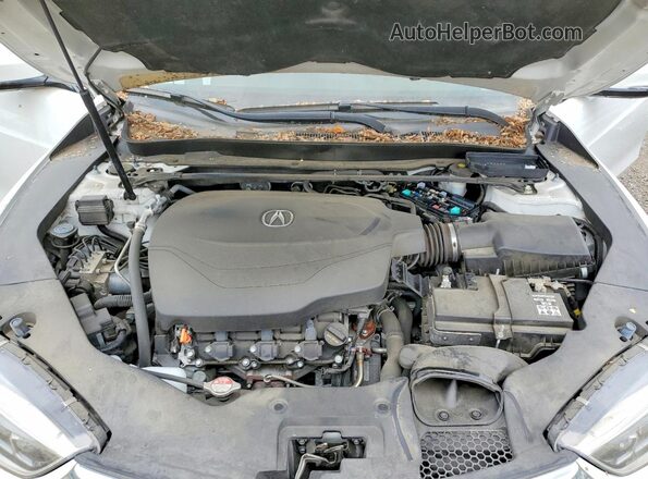 19UUB3F83KA002950 2019 ACURA TLX White Սալոնի հետևի տեսք