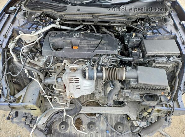 19UUB5F48MA011932 2021 ACURA TLX Blue Vista interior trasera