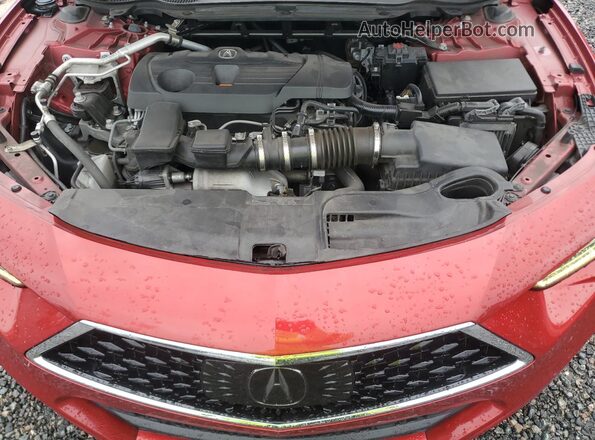 19UUB5F49MA014726 2021 ACURA TLX Red Սալոնի հետևի տեսք