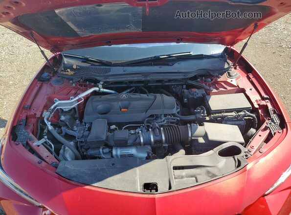 19UUB5F56PA005463 2023 ACURA TLX Red Սալոնի հետևի տեսք