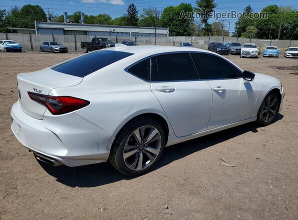 19UUB5F63MA004484 2021 ACURA TLX White უკანა მარჯვენა