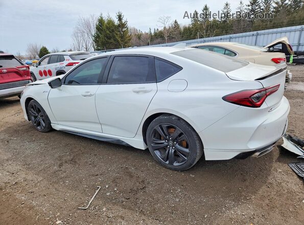 19UUB6F50MA800638 2021 ACURA TLX White Задня ліва чверть