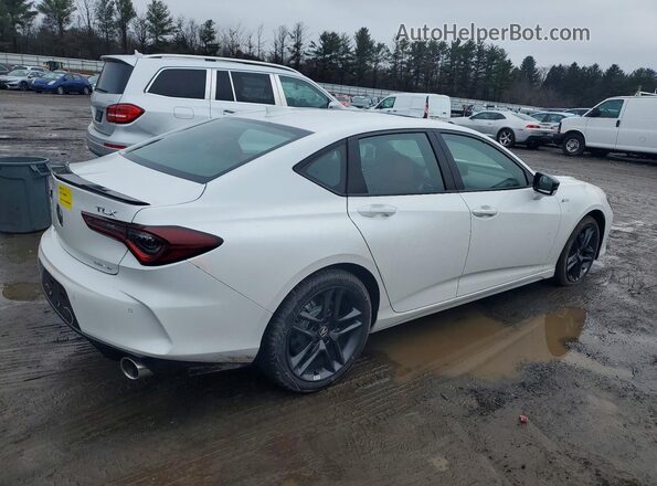 19UUB6F58SA005379 2025 ACURA TLX White Tył prawy