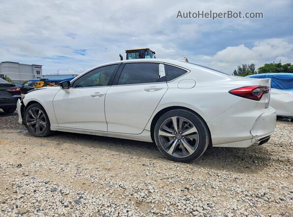 19UUB6F67MA004395 2021 ACURA TLX White Հետևի ձախ