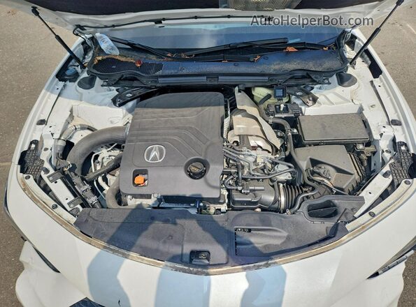 19UUB7F03SA000889 2025 ACURA TLX White Widok wnętrza z tyłu
