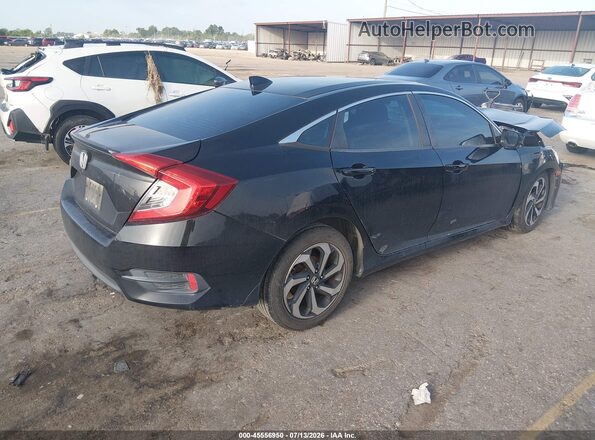 19XFC1F31GE012782 2016 HONDA CIVIC Black Հետևի աջ