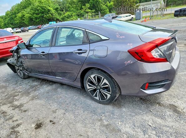 19XFC1F37HE210235 2017 HONDA CIVIC Gray Rear left