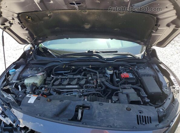 19XFC1F37LE014269 2020 HONDA CIVIC Gray Սալոնի հետևի տեսք