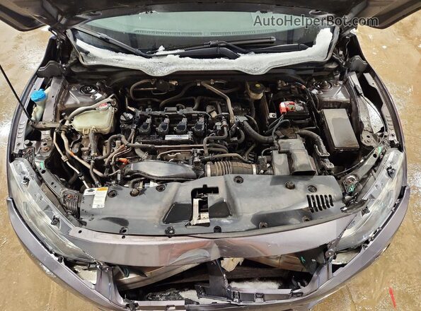 19XFC1F7XHE020481 2017 HONDA CIVIC Серый Вид задней части салона
