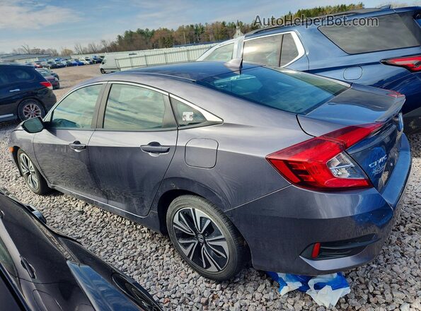 19XFC1F7XHE020481 2017 HONDA CIVIC Серый Задняя левая четверть