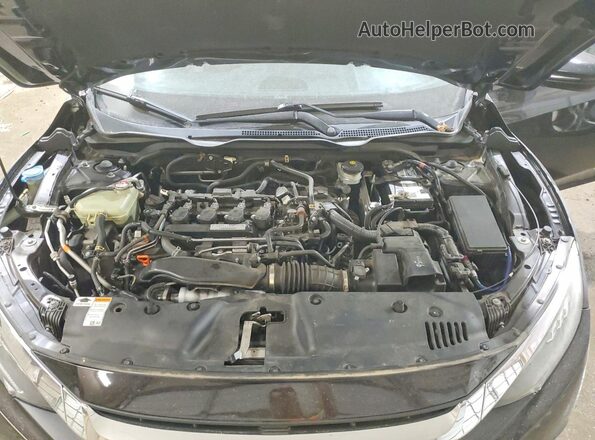 19XFC1F90HE010141 2017 HONDA CIVIC Purple უკანა სალონის ხედი
