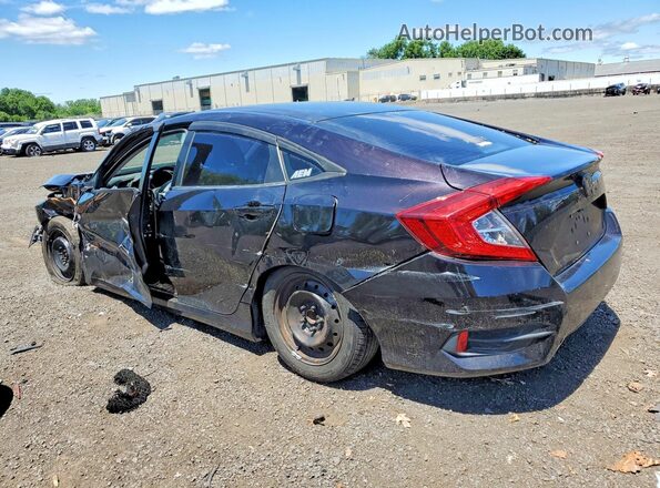 19XFC2E52GE044083 2016 HONDA CIVIC Purple უკანა მარცხენა