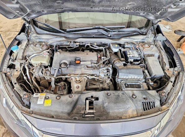 19XFC2F50GE006401 2016 HONDA CIVIC Gray Вид задньої частини салону