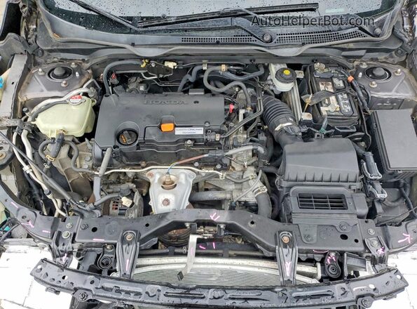19XFC2F51GE034336 2016 HONDA CIVIC Gray Вид задньої частини салону