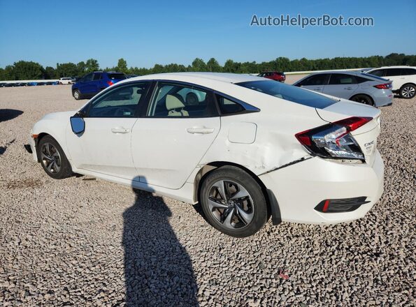 19XFC2F62LE030427 2020 HONDA CIVIC White Задня ліва чверть