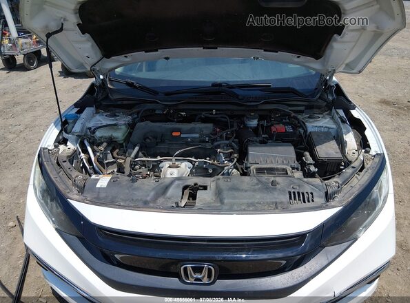 19XFC2F64KE030556 2019 HONDA CIVIC White Widok z tyłu