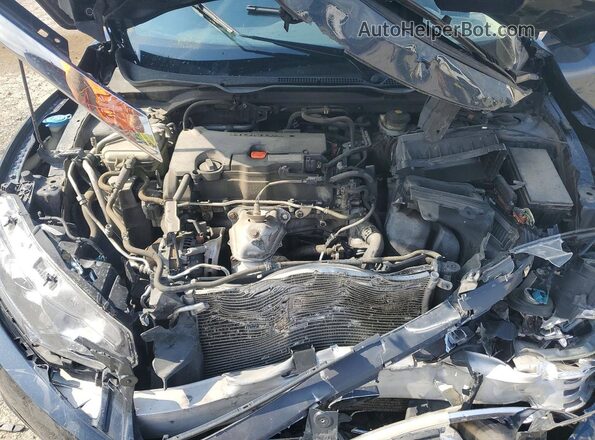 19XFC2F76GE222092 2016 HONDA CIVIC Blue Սալոնի հետևի տեսք
