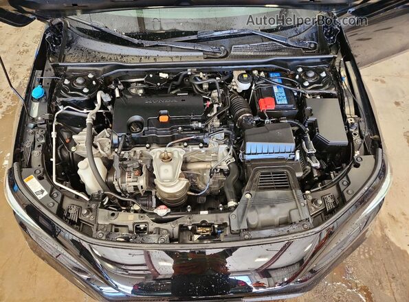 19XFL2H81RE036985 2024 HONDA CIVIC Black Սալոնի հետևի տեսք