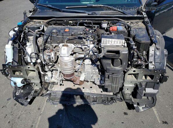 19XFL2H84PE021149 2023 HONDA CIVIC Black Rear interior view