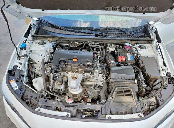 19XFL2H85PE015182 2023 HONDA CIVIC Белый Вид задней части салона