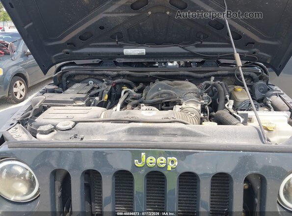 1C4BJWDG0HL590100 2017 JEEP WRANGLER UNLIMITED Blue Vista trasera