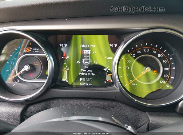 1C4HJXDN3LW304911 2020 JEEP WRANGLER UNLIMITED Green Vista de los asientos traseros
