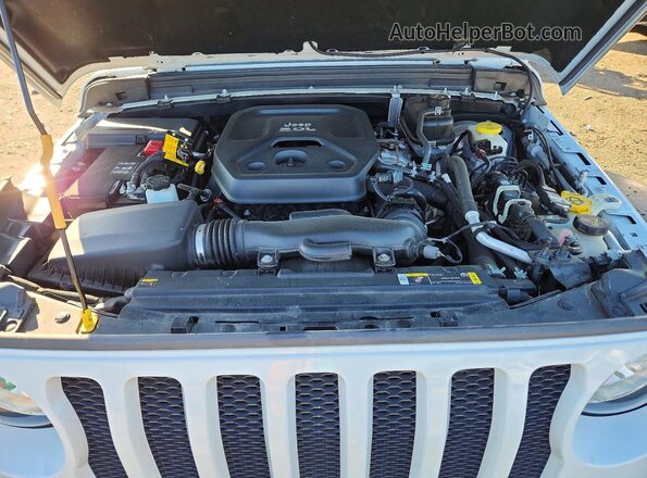 1C4HJXDN7MW554427 2021 JEEP WRANGLER Белый Вид задней части салона