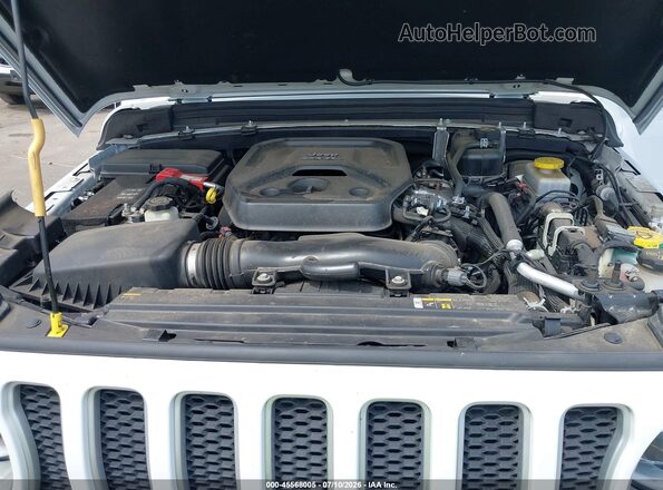 1C4HJXEN2MW548971 2021 JEEP WRANGLER UNLIMITED White Հետևի տեսք