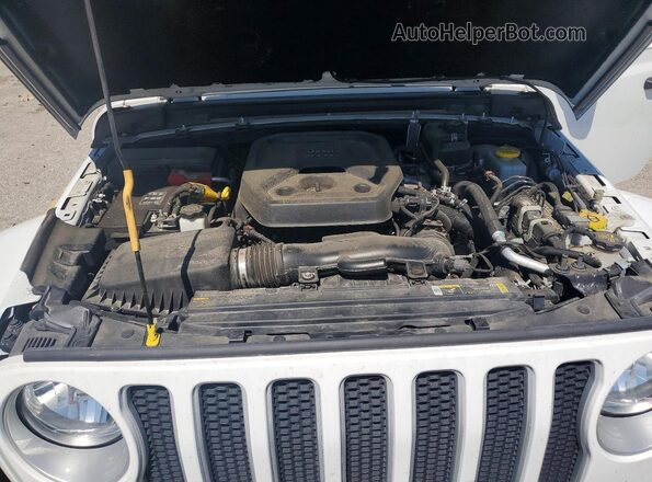 1C4HJXEN4MW601573 2021 JEEP WRANGLER White Սալոնի հետևի տեսք