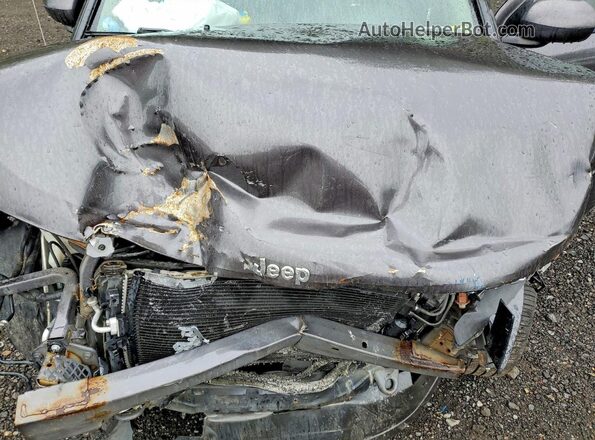 1C4NJDEB2GD696612 2016 JEEP COMPASS Серый Вид подкапотного пространства