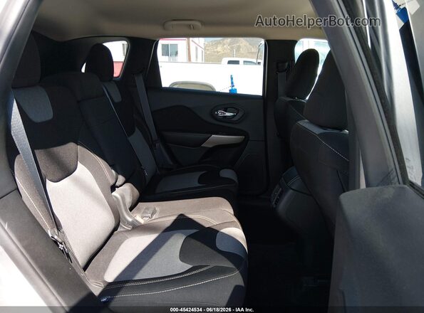 1C4PJLAB9HD225096 2017 JEEP CHEROKEE Silver Вид наклейки з VIN-кодом