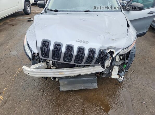 1C4PJLAS4HW619190 2017 JEEP CHEROKEE Серый Вид задней части салона