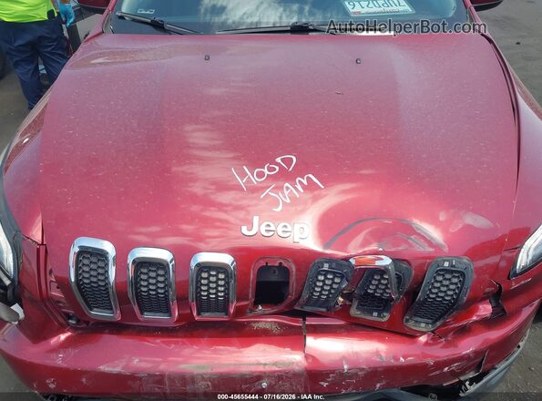 1C4PJLCB2GW342471 2016 JEEP CHEROKEE Red Widok z tyłu