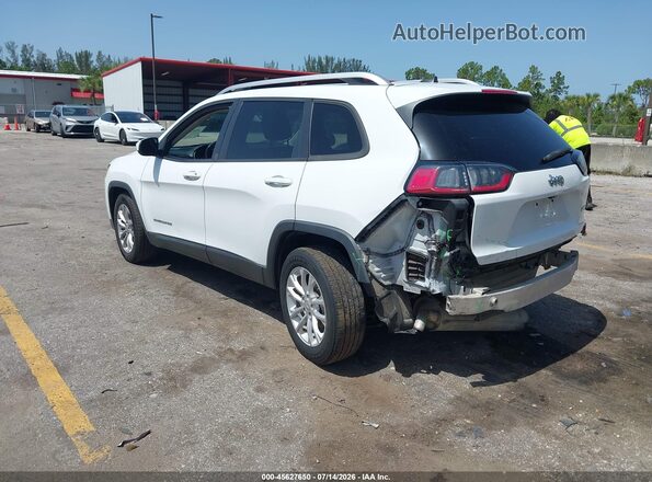 1C4PJLCB2LD511488 2020 JEEP CHEROKEE White უკანა მარცხენა