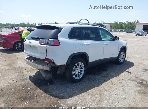 1C4PJLCB2LD511488 2020 JEEP CHEROKEE White უკანა მარჯვენა