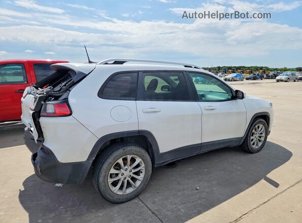 1C4PJLCB2LD629458 2020 JEEP CHEROKEE White უკანა მარჯვენა