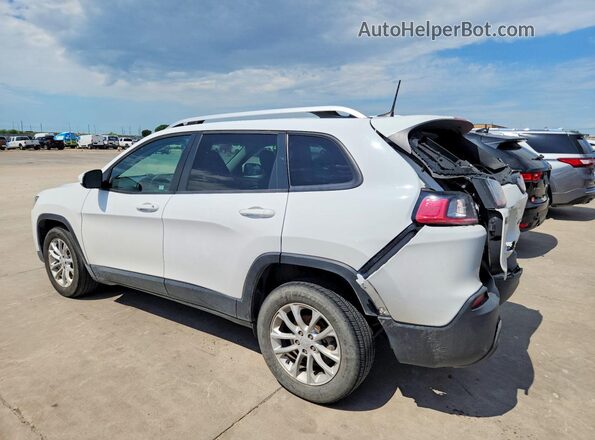 1C4PJLCB2LD629458 2020 JEEP CHEROKEE White უკანა მარცხენა