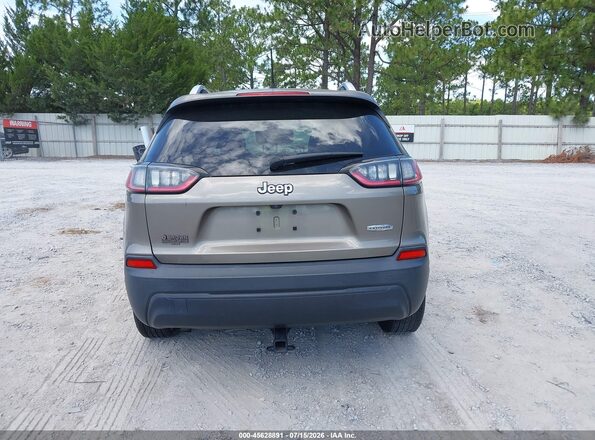 1C4PJLCB3KD396107 2019 JEEP CHEROKEE Brown 