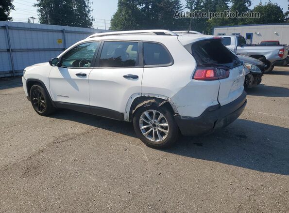 1C4PJLCB4LD548011 2020 JEEP CHEROKEE White Задня ліва чверть